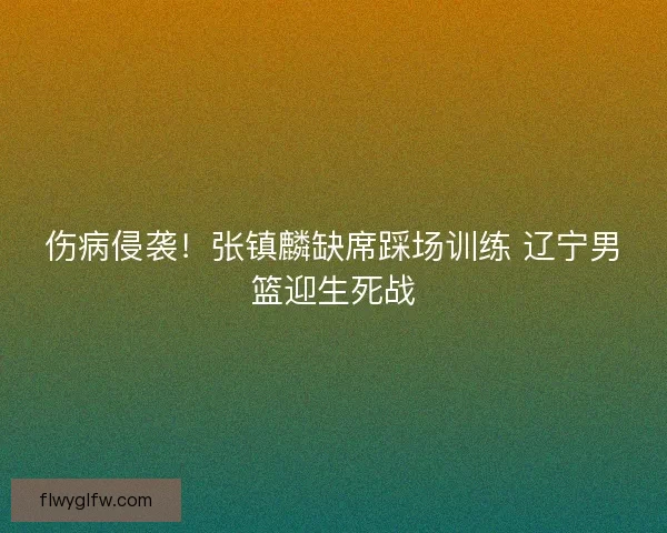 伤病侵袭！张镇麟缺席踩场训练 辽宁男篮迎生死战