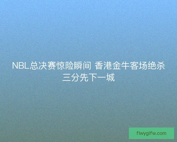 NBL总决赛惊险瞬间 香港金牛客场绝杀三分先下一城 NBL总决赛惊险瞬间 香港金牛客场绝杀三分先下一城