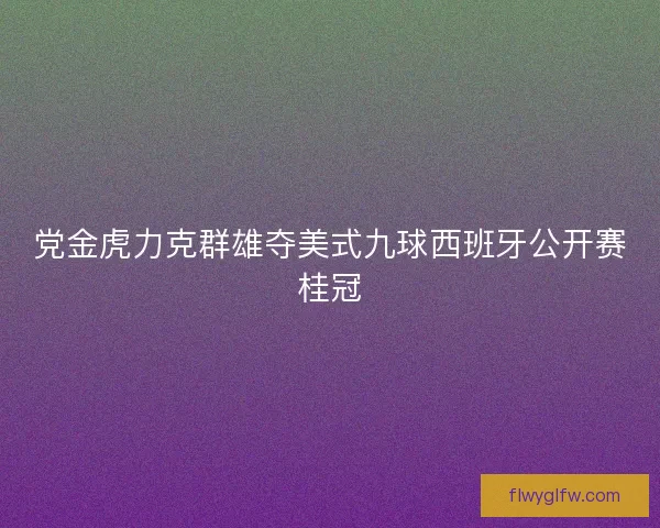 党金虎力克群雄夺美式九球西班牙公开赛桂冠 党金虎力克群雄夺美式九球西班牙公开赛桂冠