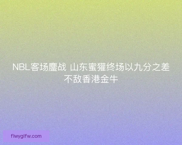 NBL客场鏖战 山东蜜獾终场以九分之差不敌香港金牛