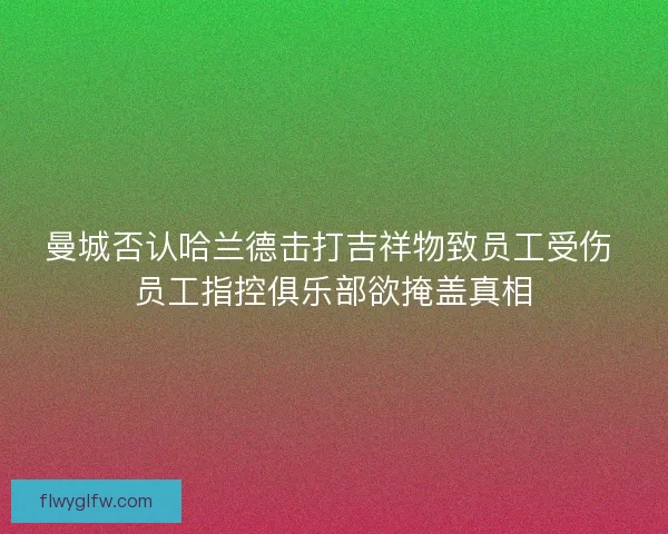 曼城否认哈兰德击打吉祥物致员工受伤 员工指控俱乐部欲掩盖真相
